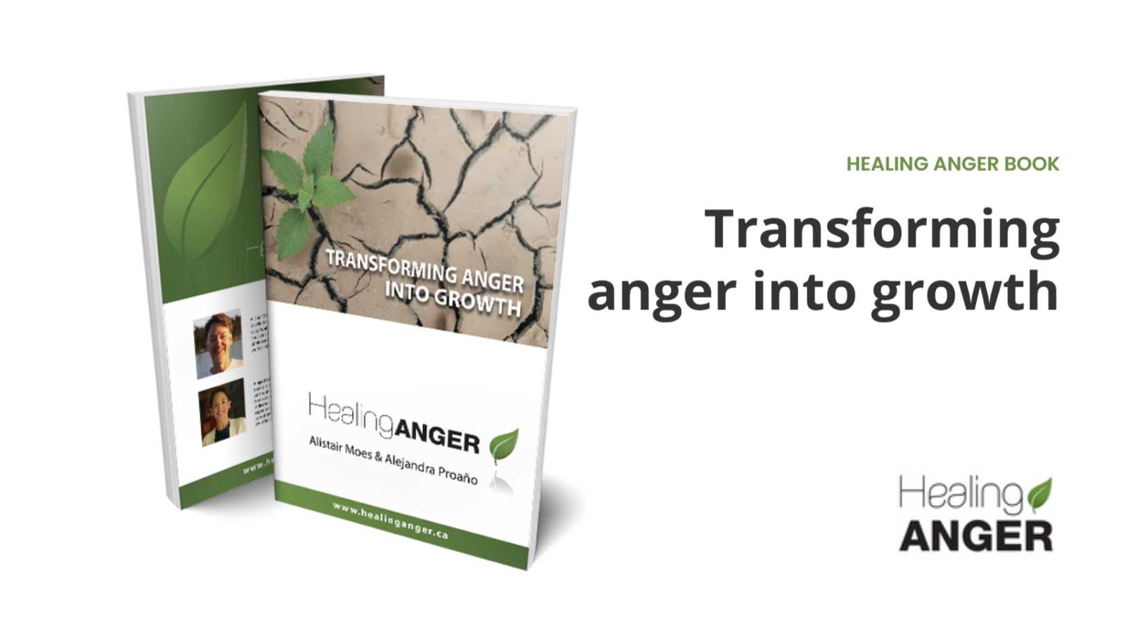 Healing Anger Book Healing Anger Book