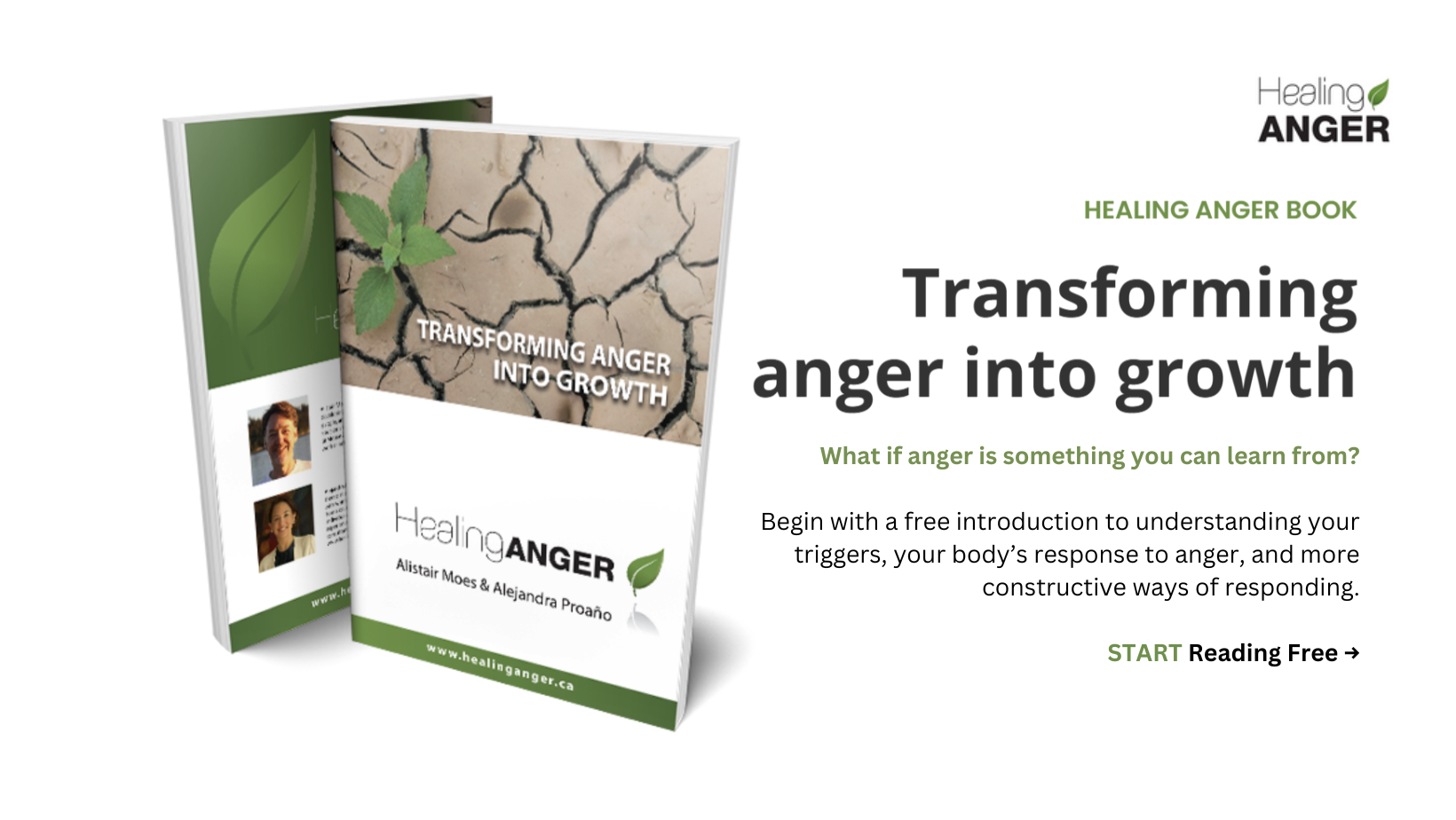 Healing Anger - Moose Anger Management - Anger, Emotions, Somatic Experiences, Free Book, Free Counselling, British Columbia, Canada Healing Anger - Moose Anger Management - Anger, Emotions, Somatic Experiences, Free Book, Free Counselling, British Columbia, Canada