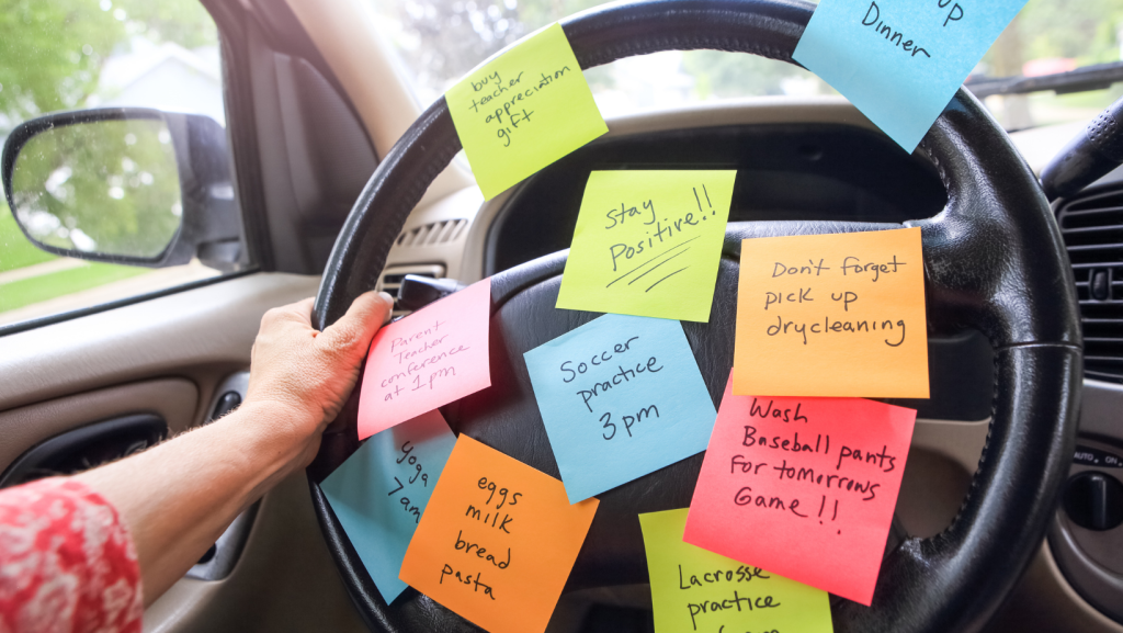 Moose Anger Management | Is Your Busy Life Leaving You Constantly Stressed?